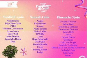 Festival Papillons de Nuit 2022 - Interview Musiques en Live